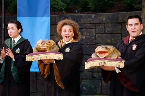 Frog Choir | Universal Studios Hollywood Discount Tickets