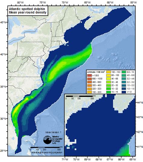 Pilot Whale Migration Path