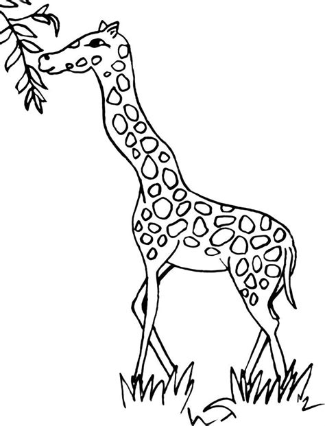 Free Printable Giraffe Pictures, Download Free Printable Giraffe ...