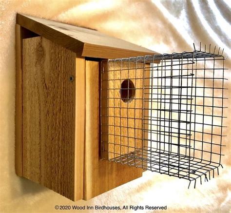 Ultimate Defender Predator Guard Birdhouse Guard Guard Etsy In 2021