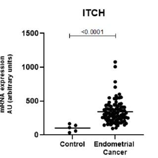 WNT2 Is Expressed At Significantly Lower Levels In The Endometrial