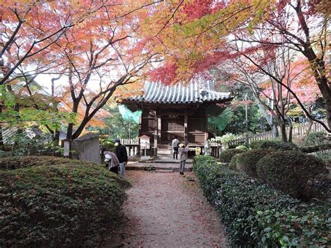 お寺さん437（香川県坂出市白峯寺・四国八十八ヶ所霊場） タカチン日記～赤城の郷から伝えたい事～