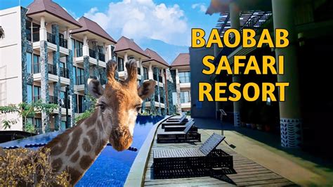 BAOBAB SAFARI RESORT RESORT DI TENGAH HUTAN PASURUAN JAWATIMUR