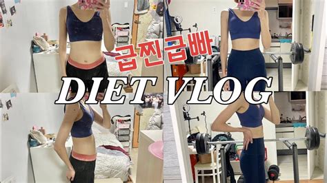 Diet 3일동안 28kg 급찐급빠 다이어트 브이로그 아점에 전효성다이어트님 모시고 저녁에 아이유다이어트님