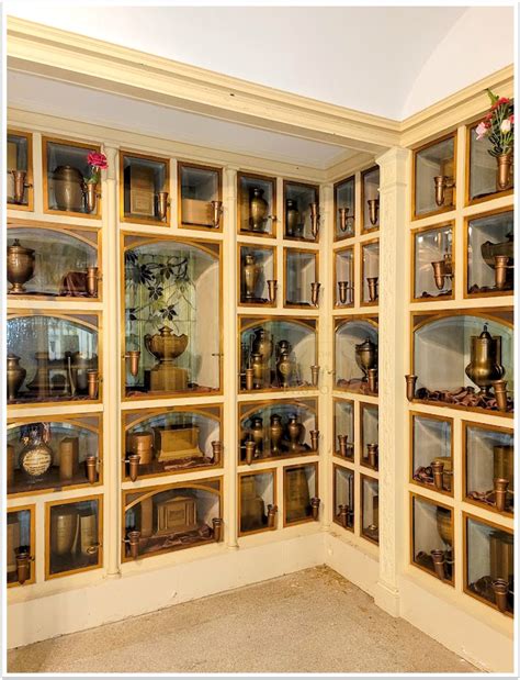 Bio-specialists explain how cremation urns can turn into trees 17