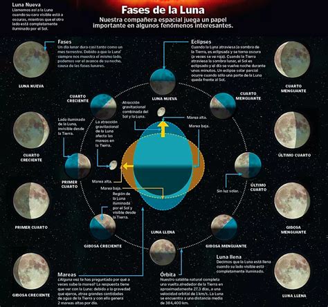 LAS FASES DE LA LUNA Y SUS CARACTERISTICAS