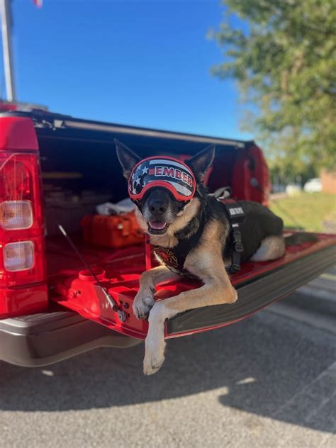 Meet The Newest Member Of City Of Mauldin Sc Government