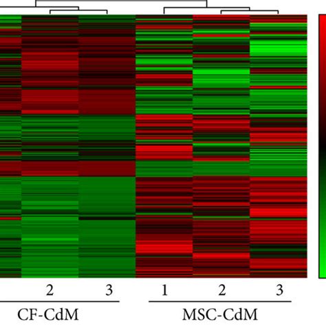 Secretome Patterns And Different Hdgf Expression Between Mscs And