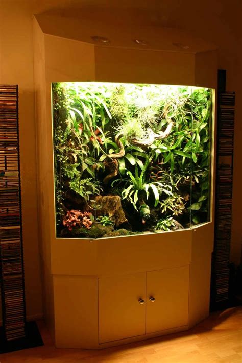 Huge Wet Vivarium For Rainforest Frogs Vivarium Terrarium Reptile