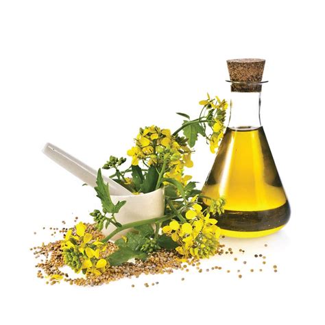 ulei rapita vrac austria     sapun natural