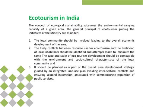 Sustainable ecotourism will determine the bright future of homosassa 7