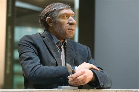 Our Homo sapiens Ancestors Shared the World With Neanderthals ...