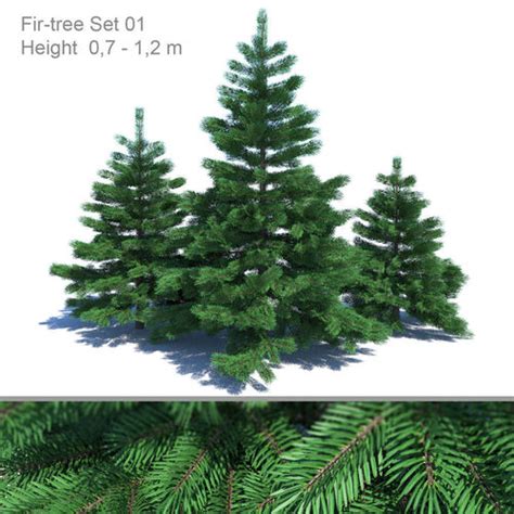 Fir Tree Set 01 3d Model Cgtrader