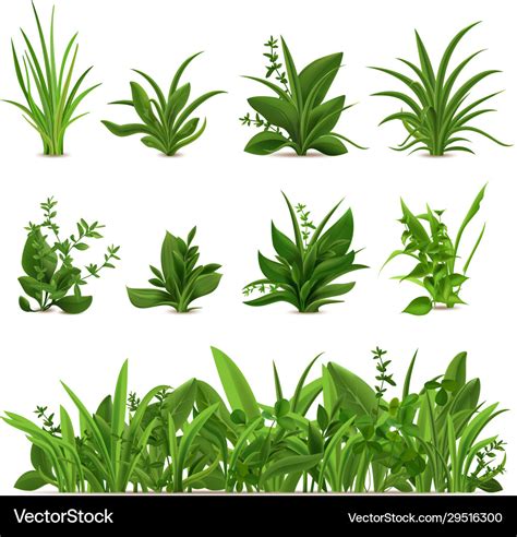 Realistic Grass Bushes Green Fresh Plants Garden Vector Image