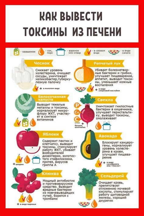 Pinterest | Целостное питание, Здоровое питание, Питание