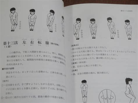 Yahooオークション 図解 練功十八法 〈付〉十二気勢 吉川昌代 ペー