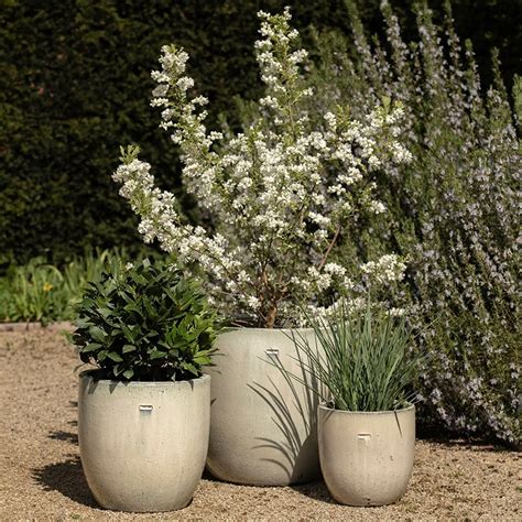 Buy Glazed Ceramic Pot White Delivery By Crocus