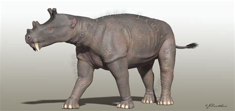 Uintatherium By Paleoguy Animals Paleontology Dinosaur