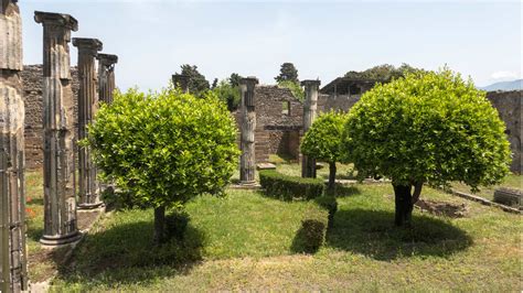 Las Curiosidades De La Agricultura En La Antigua Roma