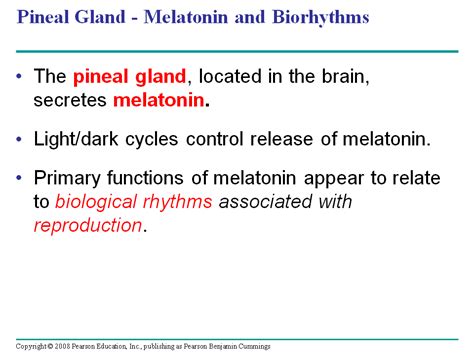 Pineal Gland Melatonin And Biorhyths