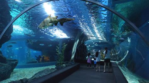 SEA LIFE Bangkok Ocean World -: Siam Bangkok Map