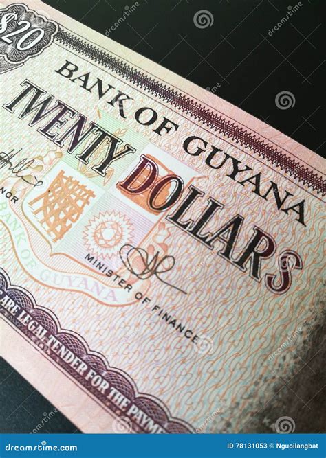 Close Up of Guyanese Dollar Stock Image - Image of guyanese, economy ...