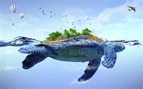 Sea Turtle Desktop Wallpapers - Top Free Sea Turtle Desktop Backgrounds ...