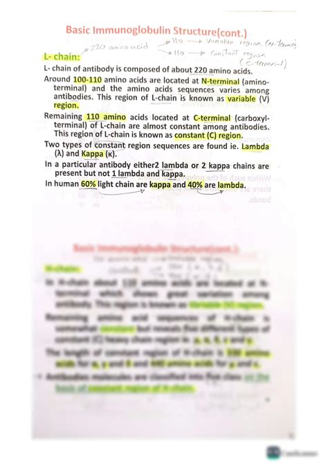 SOLUTION Immunology The Immunoglobulins Studypool