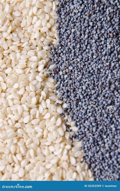 Poppy And Sesame Seeds Stock Image Image Of Natural 26352509