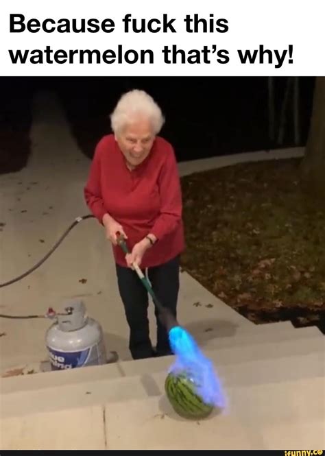 Because Fuck This Watermelon That S Why IFunny