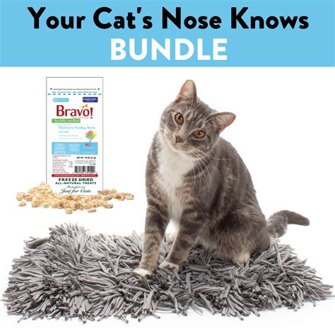 Your Cats Nose Knows Bundle Jackson Galaxy