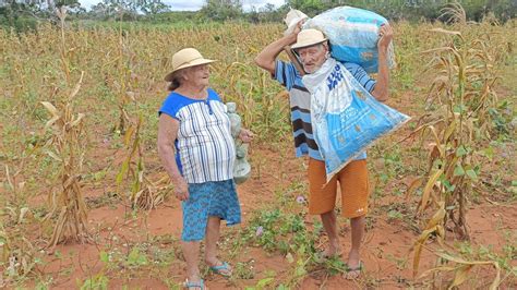 Os Melhores Momentos Seu Manoelzinho E Dona Alzira Direto Da Ro A