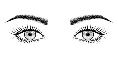 Hand Drawn Eyes Premium Vector