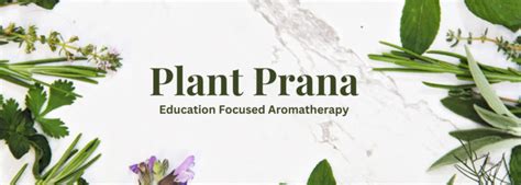 Home Plant Prana Essential Oils