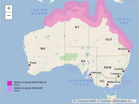 Where Do Saltwater Crocodiles Live In Australia Map - Fawnia Susanetta