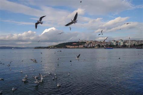 Touring Greece and Turkey - visit the cradle of civilization
