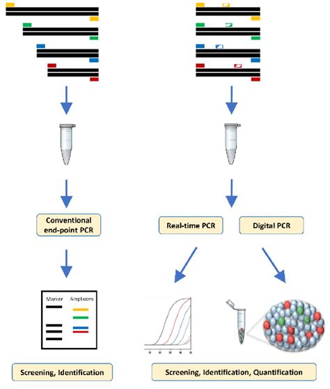 Schematic Illustration Of Different Approaches For Mppcr The Multiplex