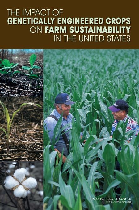 2 Environmental Impacts Of Genetically Engineered Crops At The Farm Level The Impact Of