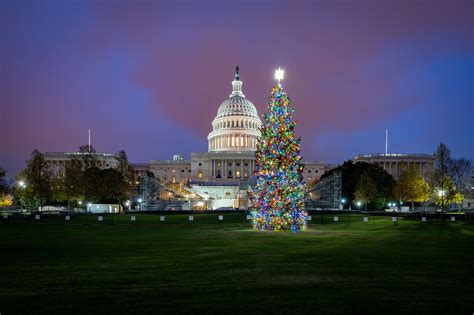 Christmas Pageant At T Capitol 2024 Seattle Zia Lilyan