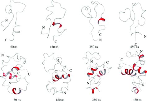 Snapshots Of The Conformational State Of The Aβ40 Peptide Monomer