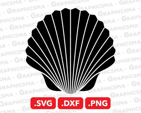 Seashell Svg File Seashell Dxf Seashell Png Sea Shell Svg Etsy