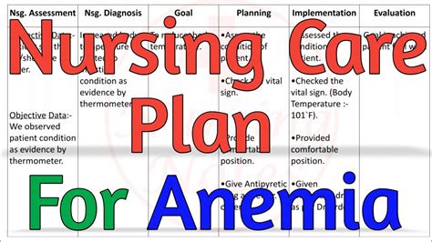 Nursing Care Plan For Anemia Nursing Care Plan On Anemia Youtube