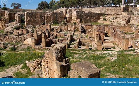 Ancient Ruins Of Carthage In Tunis Stock Photo Image Of Africa Roman