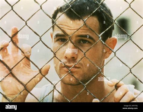 El Actor Americano Brad Davis En La Pel Cula Midnight Express Reino