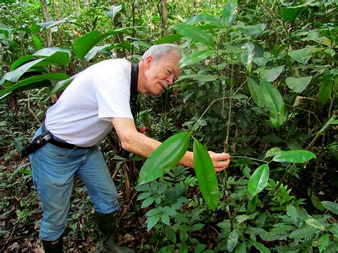 The Founding of Cocha Cashu | Cocha Cashu Biological Station