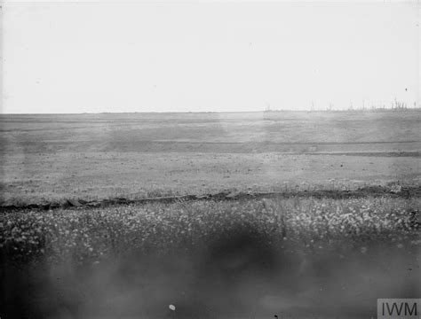 Dead Bodies Of British Soldiers In No Mans Land After A Wave Attack On