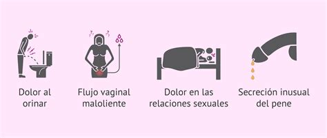 Enfermedades De Transmision Sexualidad