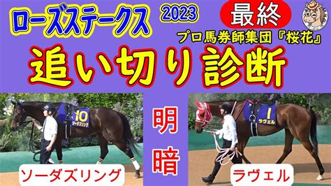 ローズステークス2023追い切り診断！夏の成長で明暗を分けそうな馬は？人気のブレイディヴェーグやラヴェルなど夏で急成長した馬はどの馬かをプロ