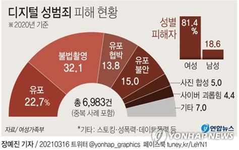 그래픽 디지털 성범죄 피해 현황 연합뉴스