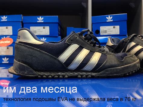 Кроссовки ADIDAS MARATHON TR classic